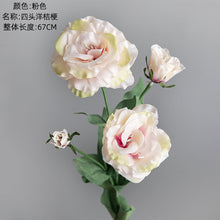 aea75ab8f3aeade127f6b47836aa3c9b