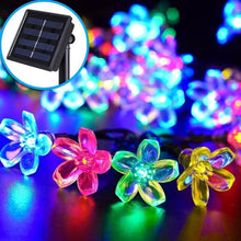 3f2ccfdcf0095ec1299ab8558381cf98