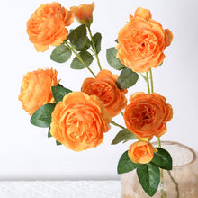 12c0e3849e075ab2b6a330d74bcab004
