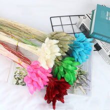4b50728e672cc3ecd2aafa41be86b5e0
