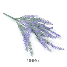 136e43f378525f1c44ff6e013a024cd6