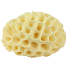 24bf2ab3c43814d0501a8f7086723c4f