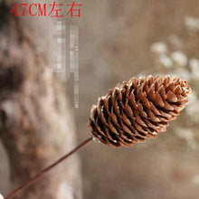 28f2a3b2c33dff07dc6f9384fa612d46