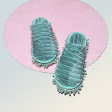 dfd5a6c0ca2722d681fd6ec789d00f7e