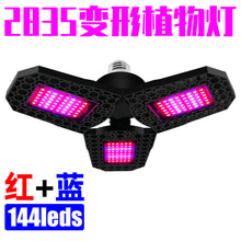 377fd92a37975c8d0f7cfb82841381a1