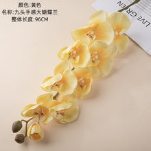 d428c4915e4caa5e8ee5ecceae929b7b