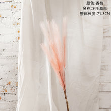 ed9cff32bd039a77eea48a5e0b36f866