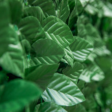 7056e7c88a624e186cfdecad5964a2f9