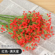 0d16778ad67daeb5d023cb594fc5d554