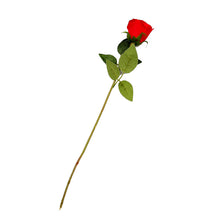 aefc0f20f7ea2f34f2b4e7f388eca25e