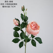 c2af3d6cd7419ad8598b29550179c5d2