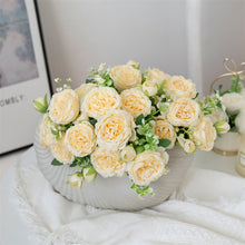 002db99b52fb1a9b666caf73ab6b9dfc