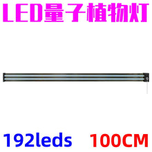d709f9c3df901f8ced923cca806f558d