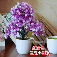 31d046cb46f148774541f86e2c8677d7