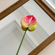 2e29f1d219a9b3a11bf088d26c1e1172