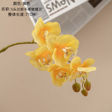 fc8c1703d6330d4b337d55e9f3c573a4