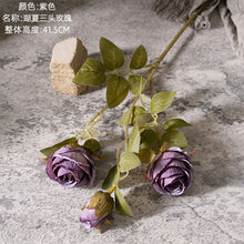 221904f40537121cc8c8049e3fab26bb
