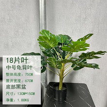 74449b99165684c0bbcbc220d45decc6
