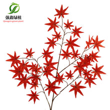 a4f59f9008a662d748fc0cc3ca45309b