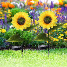 882c44b6366cdf70a50e266a8276b4fe