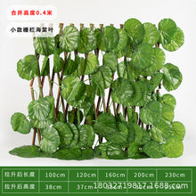 cb4c4a6be69160a52137d7f2a42c155f