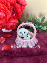 44e4798d8361c7cc2669cb654e50a3b9