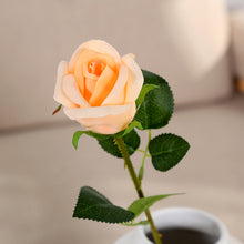 a9a901c907a959c1c8f19fdbef0a1fc1