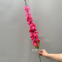 cc7eda5a7218d6992ef51740ebbb5f74