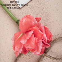 b73bea50a4c960d6187e9b2e3897651f