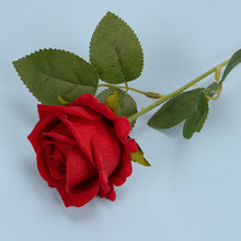 97ee5c5ee6d79382a966d271156f223e