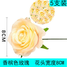 9d4bfaa0bec4c3adf17de5fb506d61f8