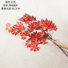 929df8200a39cc56581b0640444e9357
