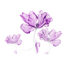 918de99181d3ff14c415e54c3f67d62c