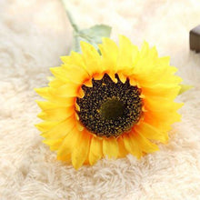 c92481740f886abf60a0d0c8fae40436