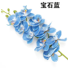 a254de5418274f131d9fb730c66a5b8c