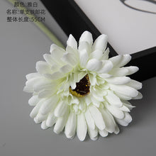 c90dc3d2b9efade11a5ac6b644cd9922