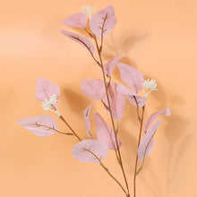 74f34b92c9be2854a878cb0e3f5459da