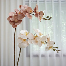 88f1e5c29542b92fc020fccbb0e2a358