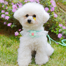 bffed422416c1e12279bf123d67f6ad8