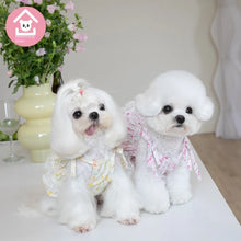 d14624a77ab337bebe443f71acd8ea7b