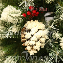 fe46d371999009cd6314d0227bb2c2f7